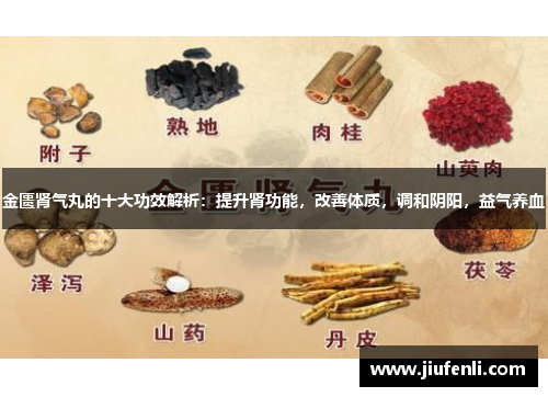 金匮肾气丸的十大功效解析：提升肾功能，改善体质，调和阴阳，益气养血
