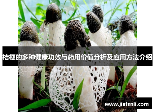 桔梗的多种健康功效与药用价值分析及应用方法介绍